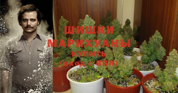 COCAINE Корсаков